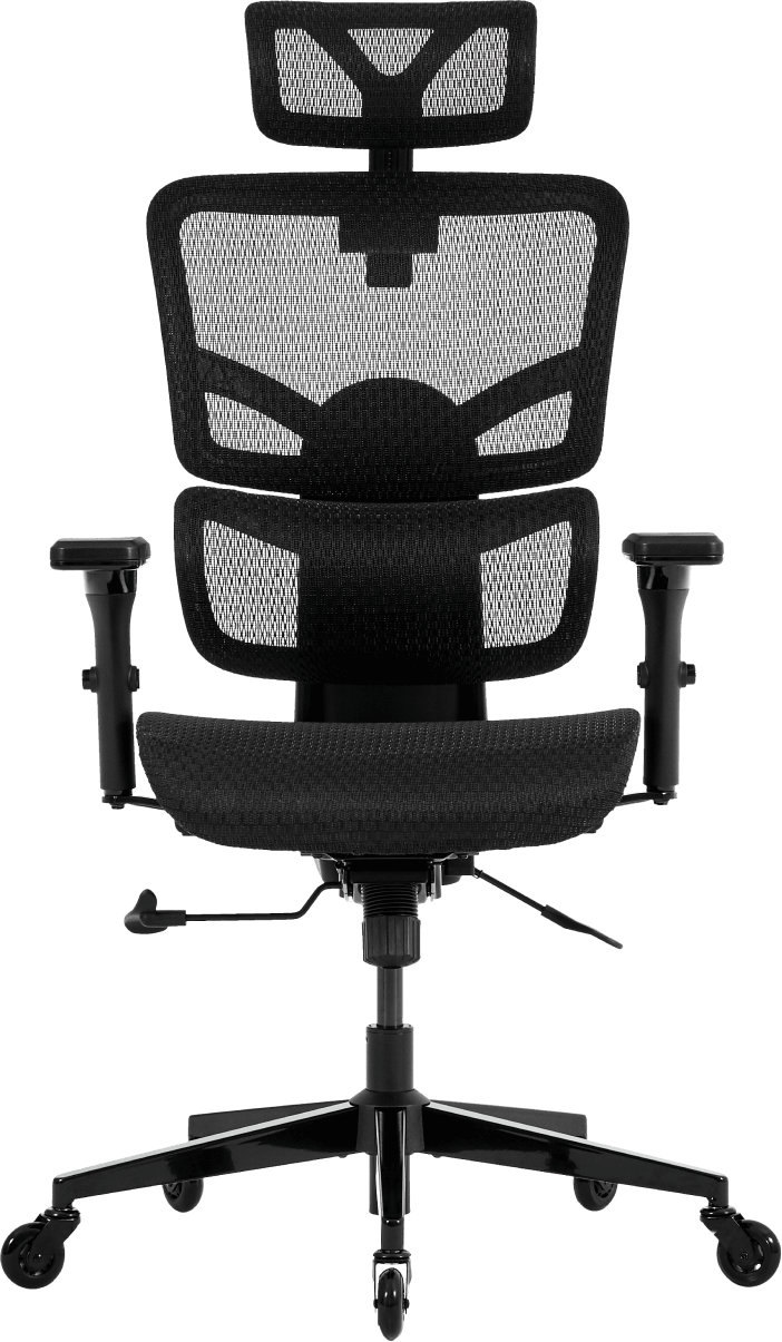 Wellnewlife Prestige Ergonomic Office Chair with Full Body Adjustability  for 5ft 4in to 6ft 6in. Adjustable Height, Head, Arms, Seat Depth,  Backrest, Recline. Swivel Mesh Office Chair, Blade (Black) 